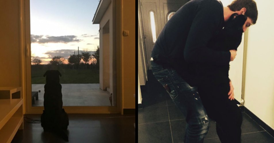ემილიანო სალას საკუთარი ძაღლი სახლის კართან ელოდება (ფოტო)
