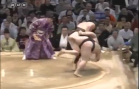 sumo