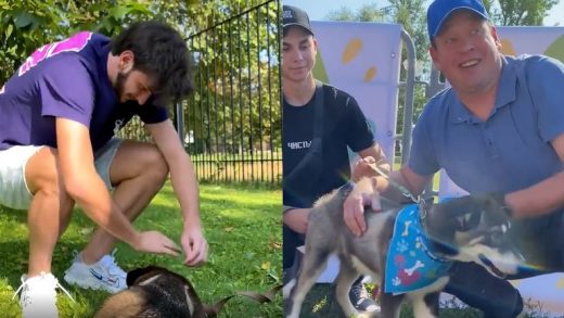 სლუცკიმ უპატრონო ძაღლი აიყვანა, რომელსაც ,,კვარა'' დაარქვა (ვიდეო) 6