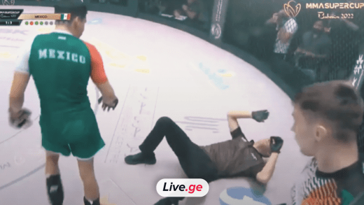 MMA-ს მებრძოლმა მსაჯი დაანოკაუტა | VIDEO 3